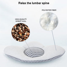 Buckwheat Lumbar Support Pillow