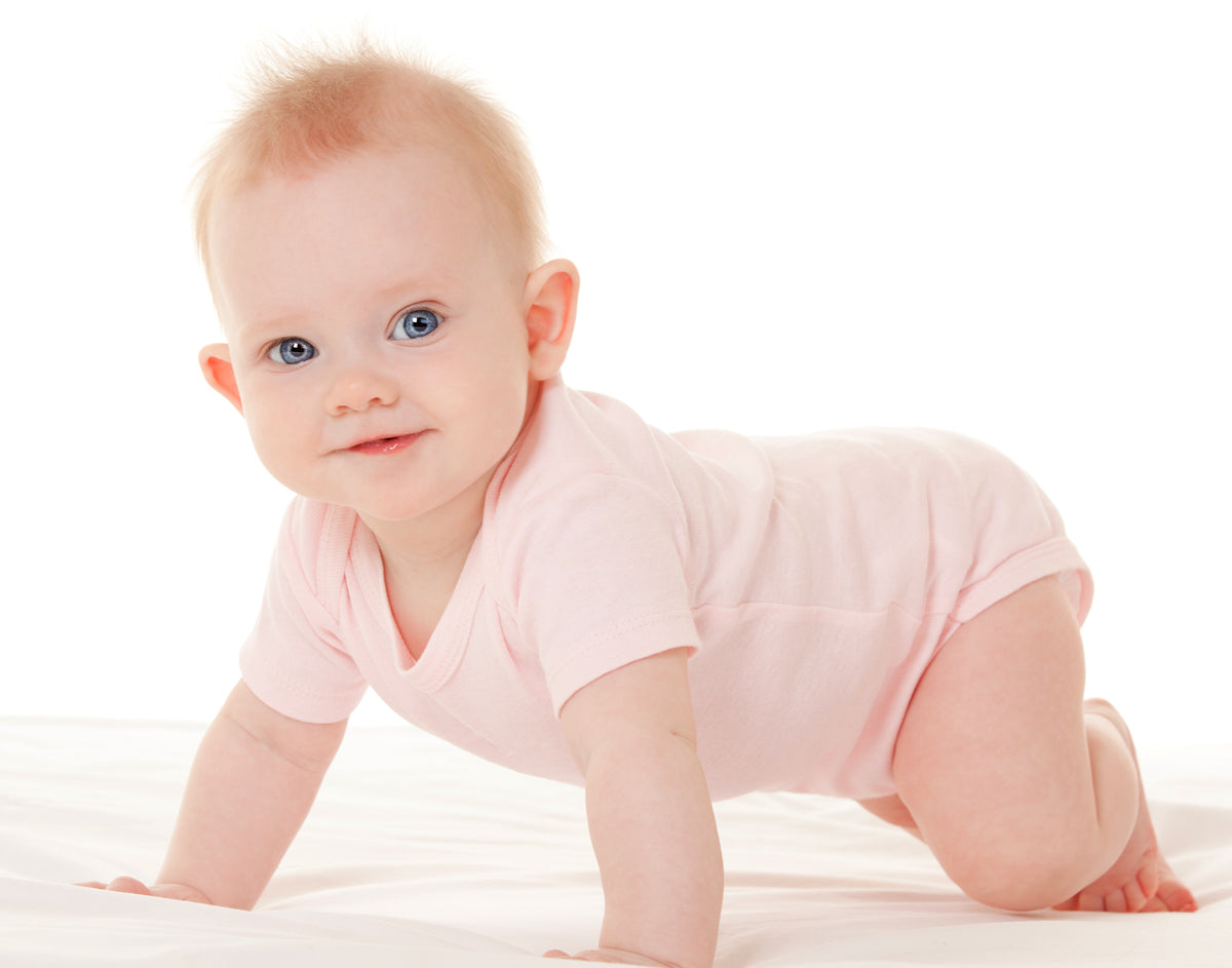 Grey,White Infant Sweatshirt, Onezie And Pants - 3 Pc Set