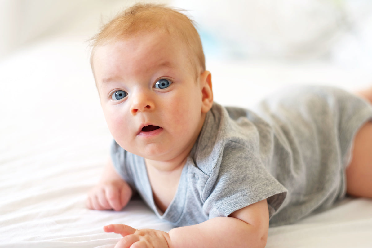 White,Blue Infant Tank Tops And Track Sweatpants