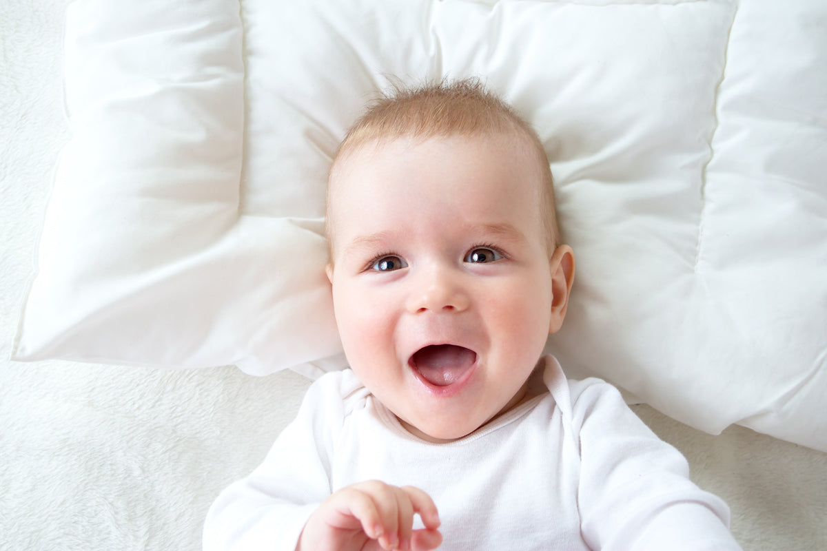 White,Blue Infant Boys Long Sleeve Onezies And Track Sweatpants