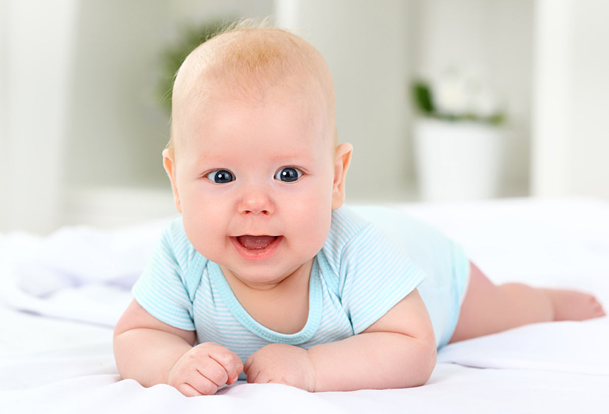 White,Blue Infant Boys T-shirts And Training Pants