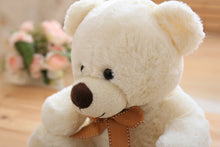 Plush Teddy Bear Stuffed Animal