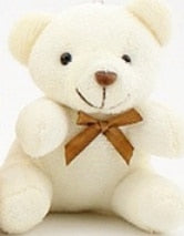 Small Key chain Plush Bear Toy