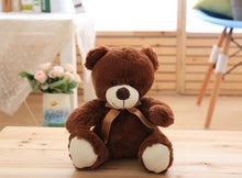 Plush Teddy Bear Stuffed Animal